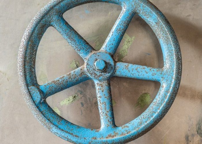 pexels-mike-van-schoonderwalt-5503877